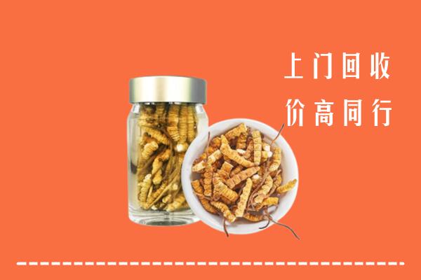 内江回收冬虫夏草